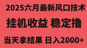 2025六月最新风口技术，无人挂G撸礼物，长期稳定 一个小时收益2k+，小白当天拿结果【揭秘】-第一资源库