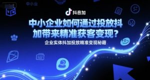 中小企业如何通过投放抖加带来精准获客变现?企业实体抖加投放精准变现秘籍-第一资源库