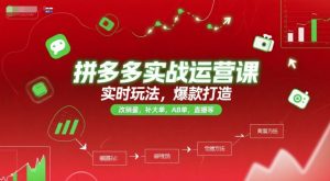 拼多多实战运营课，实时玩法，爆款打造，改销量，补大单，AB单，直播等（更新2025月）-第一资源库