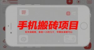 手机搬砖项目，有手就能做，亲测一小时几十，苹果安卓都可以-第一资源库