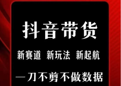 抖音短视频一刀不剪带货，不剪辑，不直播，每天发个视频，等着出单获取带货佣金-第一资源库