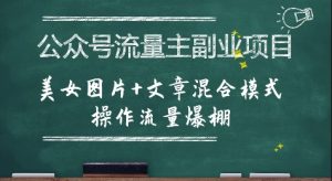 公众号流量主副业项目,美女图片+文章混合模式操作流量爆棚-第一资源库