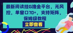最新阅读挂G撸金平台，无风控，单窗口70+，支持矩阵，保姆级教程【揭秘】-第一资源库